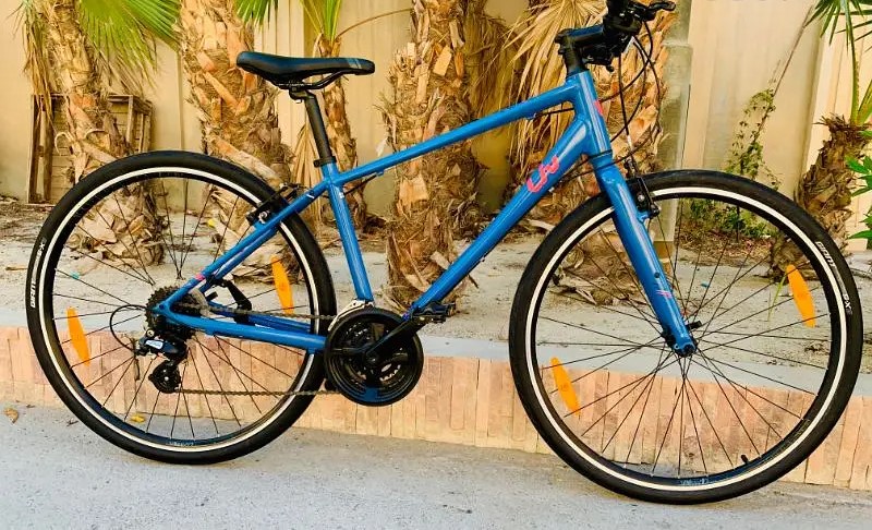 29" Giant Hybrid Bike